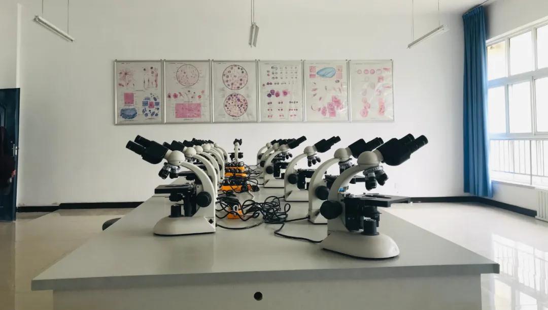 共建命运共同体！集丽舫与振华中专启动校企合作插图7