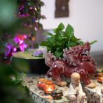 美人酵母面膜插图23