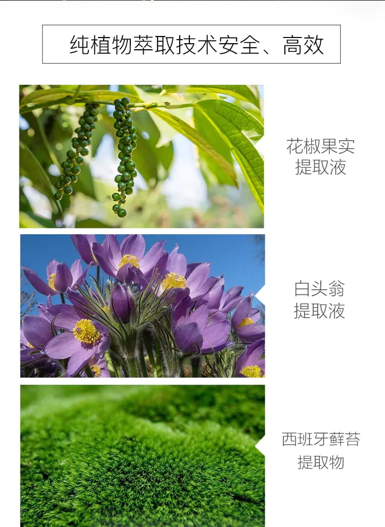 酵母精华水插图6